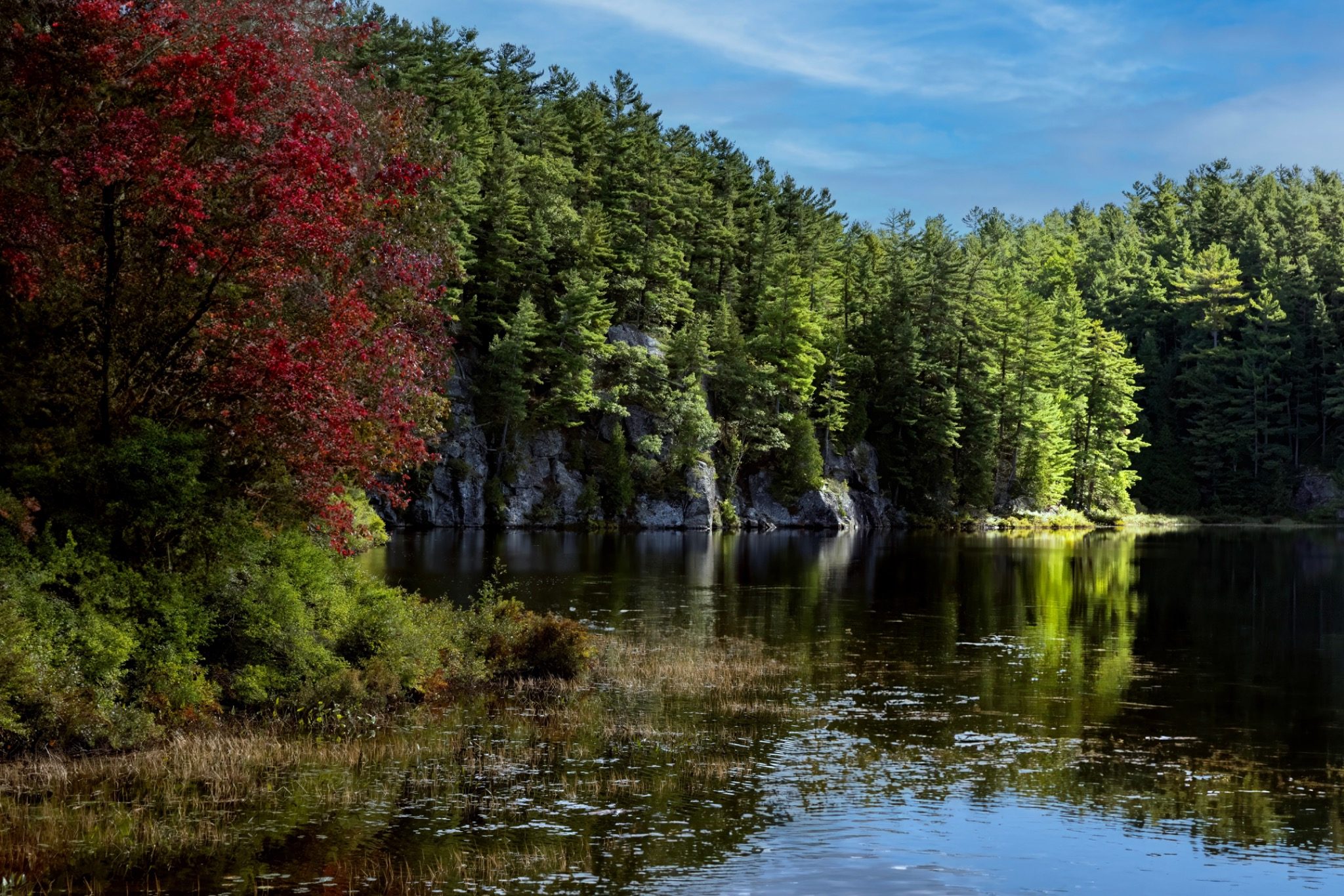 Algonquin Provincial Park